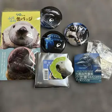 마린 월드 우미노나카미치 랏코 리로 신에노시마 수족관 캔뱃지 등