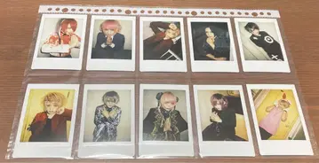 자자아자 봄의 새싹 폴라로이드