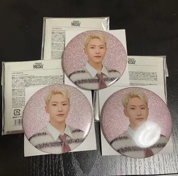 세븐틴 세부치 홀리데이 캔뱃지 호시 3개