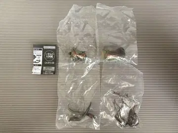 생물대도감 캡슐 토이 세트