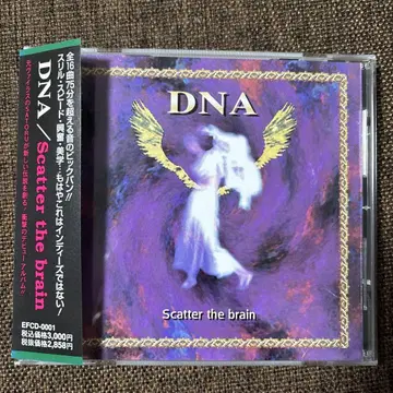초희귀 CD DNA 'Scatter the brain'