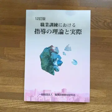직업 훈련의 지도 이론과 실제