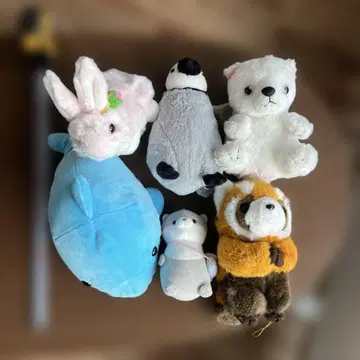 동물 봉제 인형 6종 세트