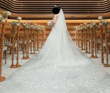 레이스가 달린 롱 웨딩 베일