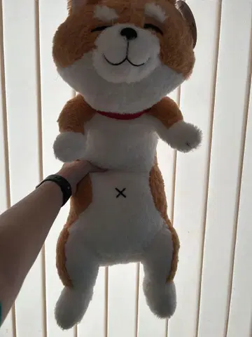 시바견 봉제 인형 68cm