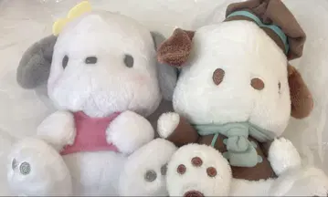 포차코 봉제 인형 세트