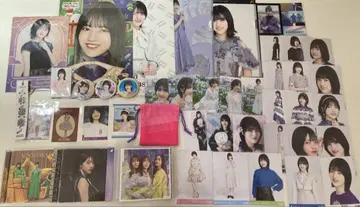 노기자카46 하야시 루나 묶음 판매 브로마이드 캔 배지 CD 파일 포스터