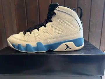 Air Jordan 9 화이트/블루