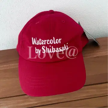 시바사키 하루미치 캡 ShibARTS [미사용 새상품]