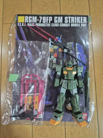 HG RGM-79FP 헬스장 스트라이커