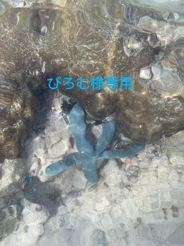에코백