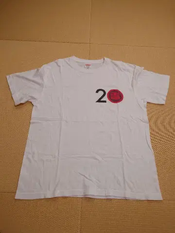 전기 그루브 20주년 T XL
