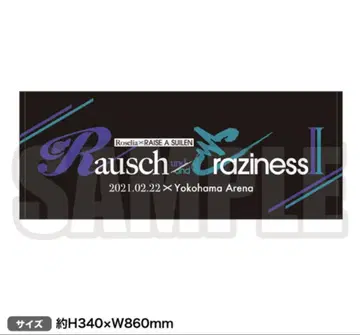 Rausch und/and Craziness II 타월