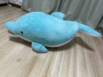 스카이블루 돌고래 봉제 인형
