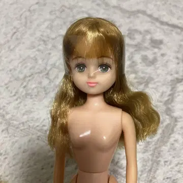 초대 팔레트 F