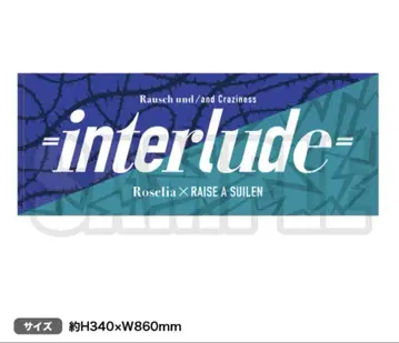 Rausch und/and Craziness -interlude- 타월