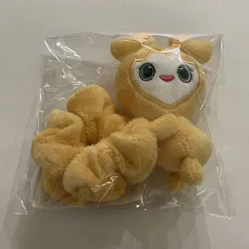 TWICE THIS IS FOR 인천 서울 콘 스크런치 지효