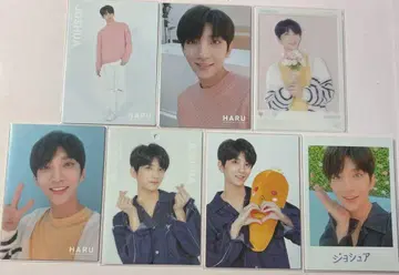 SEVENTEEN 세부치 하루콘 HARU 트레이딩 카드 조슈아 세트