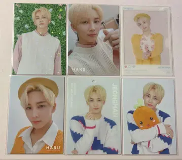 SEVENTEEN 세부치 HARU 할콘 트레이딩 카드 정한 세트