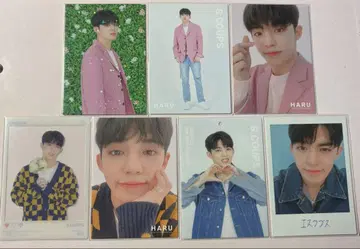 SEVENTEEN 세부치 HARU 할콘 트레이딩 카드 에스크 세트