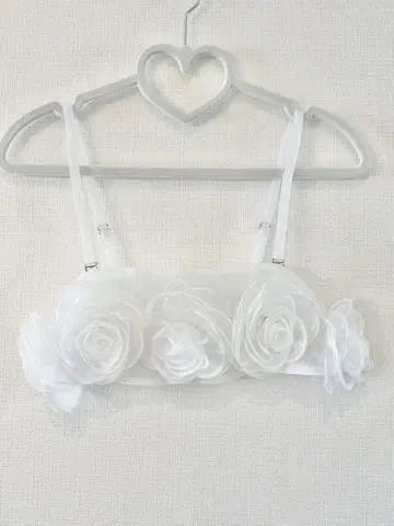 오간자 로즈 뷔스티에