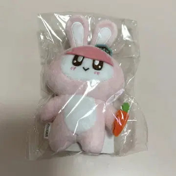SEVENTEEN 모자 꽁지 토끼