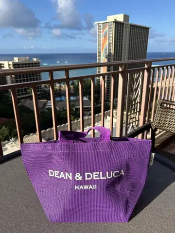 하와이 한정판 DEAN & DELUCA 메쉬 토트백 S 사이즈