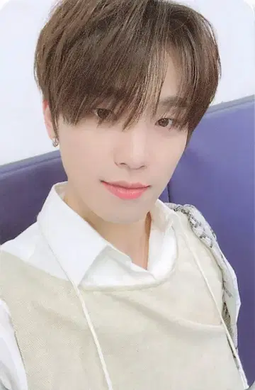 SEVENTEEN [Heng:garae] DINO 트레이딩 카드 NET