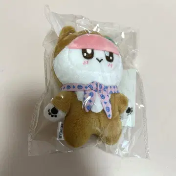 세븐틴 모자 꽁지 강아지