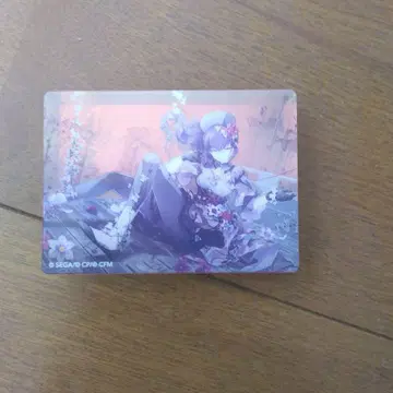 프로세카 마후유짱 노블