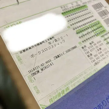 DD 유키 미쿠 1기 공장 출하 상태