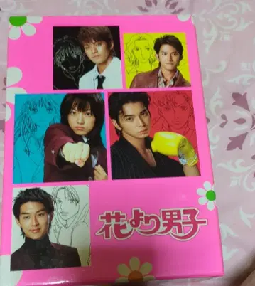 꽃보다 남자 DVD