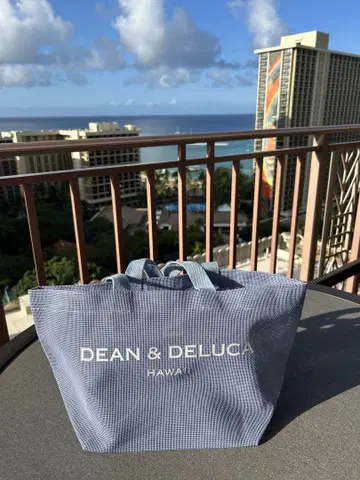 하와이안 블루 DEAN & DELUCA 메쉬 토트백 S