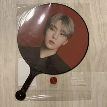 SEVENTEEN POWER OF LOVE 부채 성광 세부치