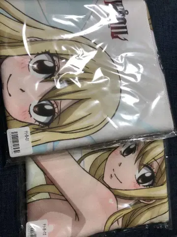 FAIRY TAIL 페어리 테일 컬렉션 파크 B상 루시 2종