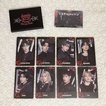 stray kids dominate 굿즈 포토 카드 세트
