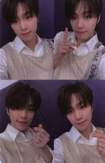 SEVENTEEN [Heng:garae] DINO 트레이딩 카드 NET