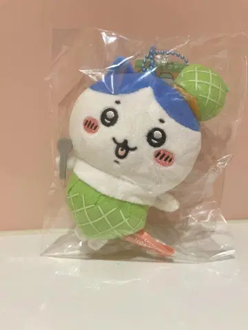 치이카와 (먼작귀) 홋카이도 한정 멜론 하치와레 마스코트