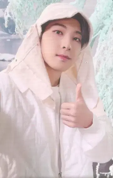 SEVENTEEN SECTOR 17 WONWOO 트레이딩 카드