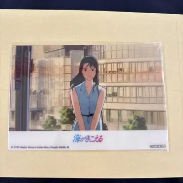 바다가 들리는 날(바다의 날) 혜택 클리어 엽서