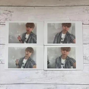 아즈 하피카 팬더 드래곤