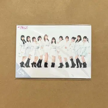 Liella! CLUB 2024 공식 브로마이드 전 12장 컴플리트 세트