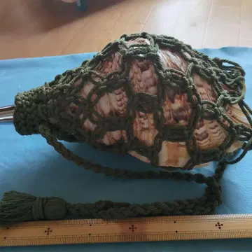 법라껍질 그물 주머니