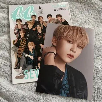 SEVENTEEN CanCam 성광 포토 카드