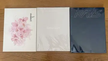 SnowMan 타키자와 가부키 ZERO IDOME RAYS의 팜플렛