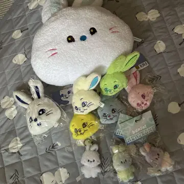 Newjeans 키링 정리 bunini