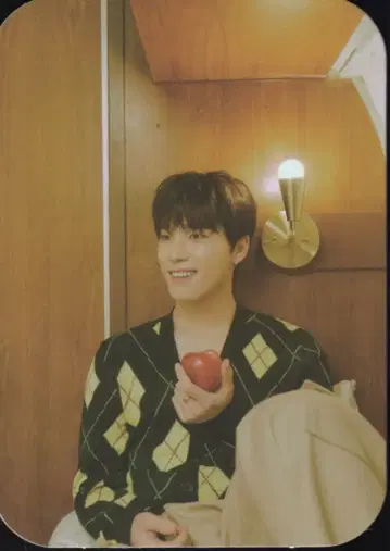 SEVENTEEN [Heng:garae] DINO 트레이딩 카드