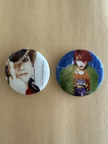 hide with Spread Beaver 캔뱃지 2개
