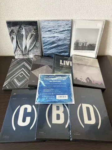 사카낙션 LIVE FISH COMPLETE BOX