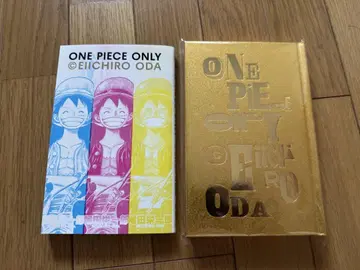 원피스 ONLY 전 공식 도록 원피스